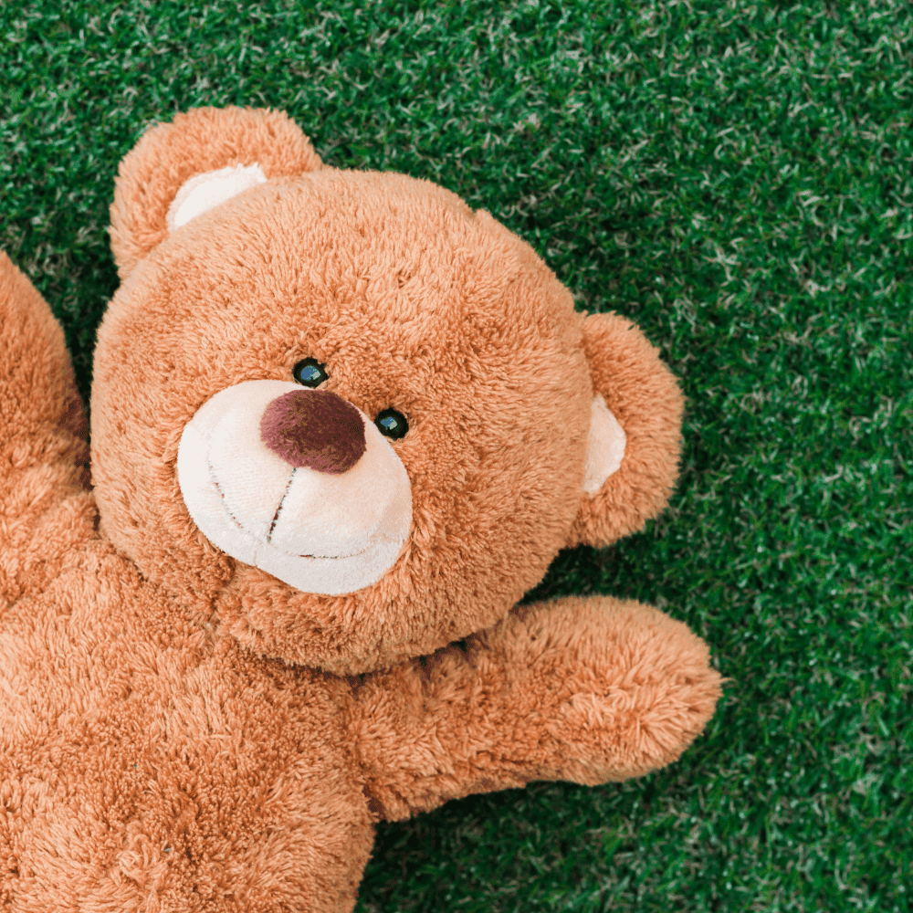 Przygody Niedźwiadka Szczepana